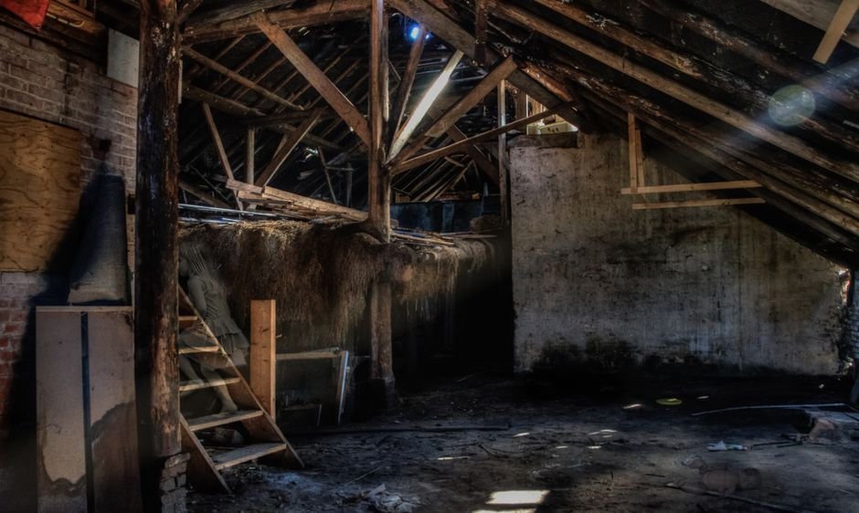 Damp vented attic with exposed roof timbers and rafters, the kind of space owners consider an attic dehumidifier for