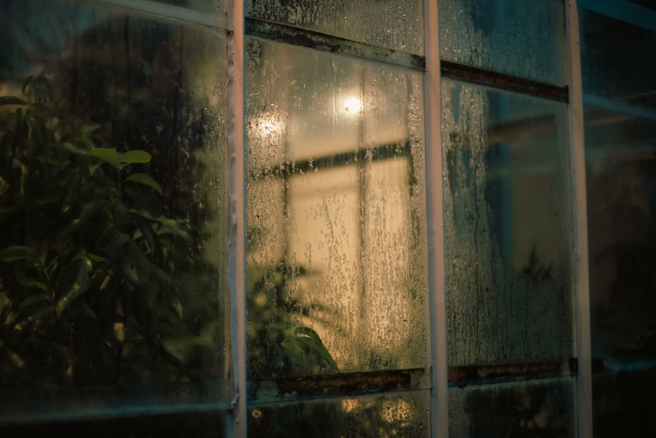 Heavy condensation running down cold conservatory glass at night, the kind of unheated glazed space where a desiccant dehumidifier outperforms a compressor model