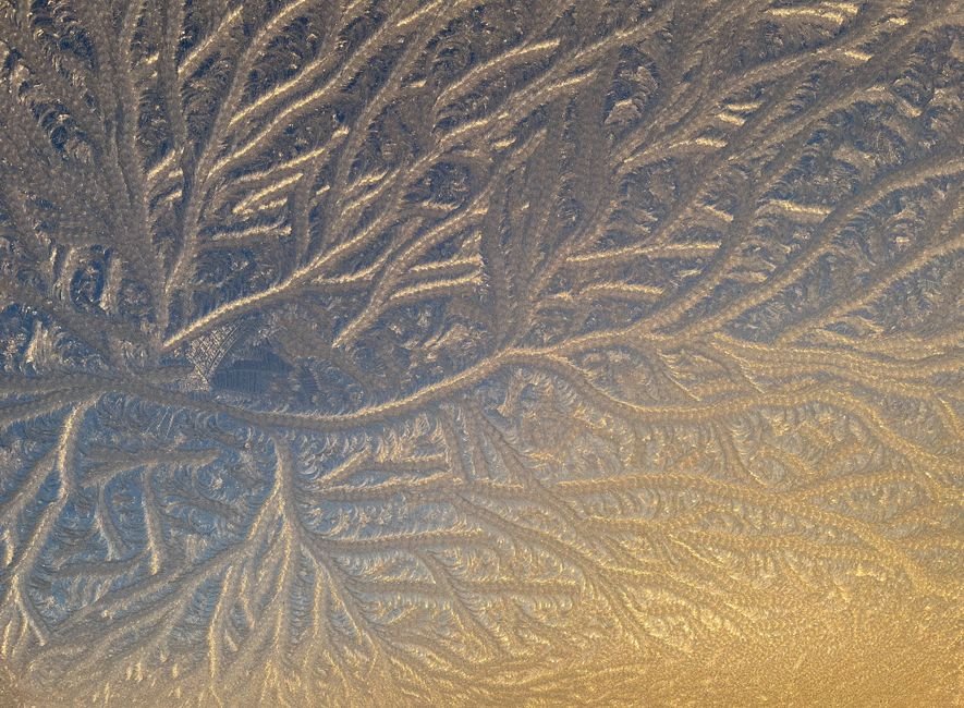 Frost crystals forming on cold glass, the same process that ices the coil of a dehumidifier in winter and forces it into a defrost cycle