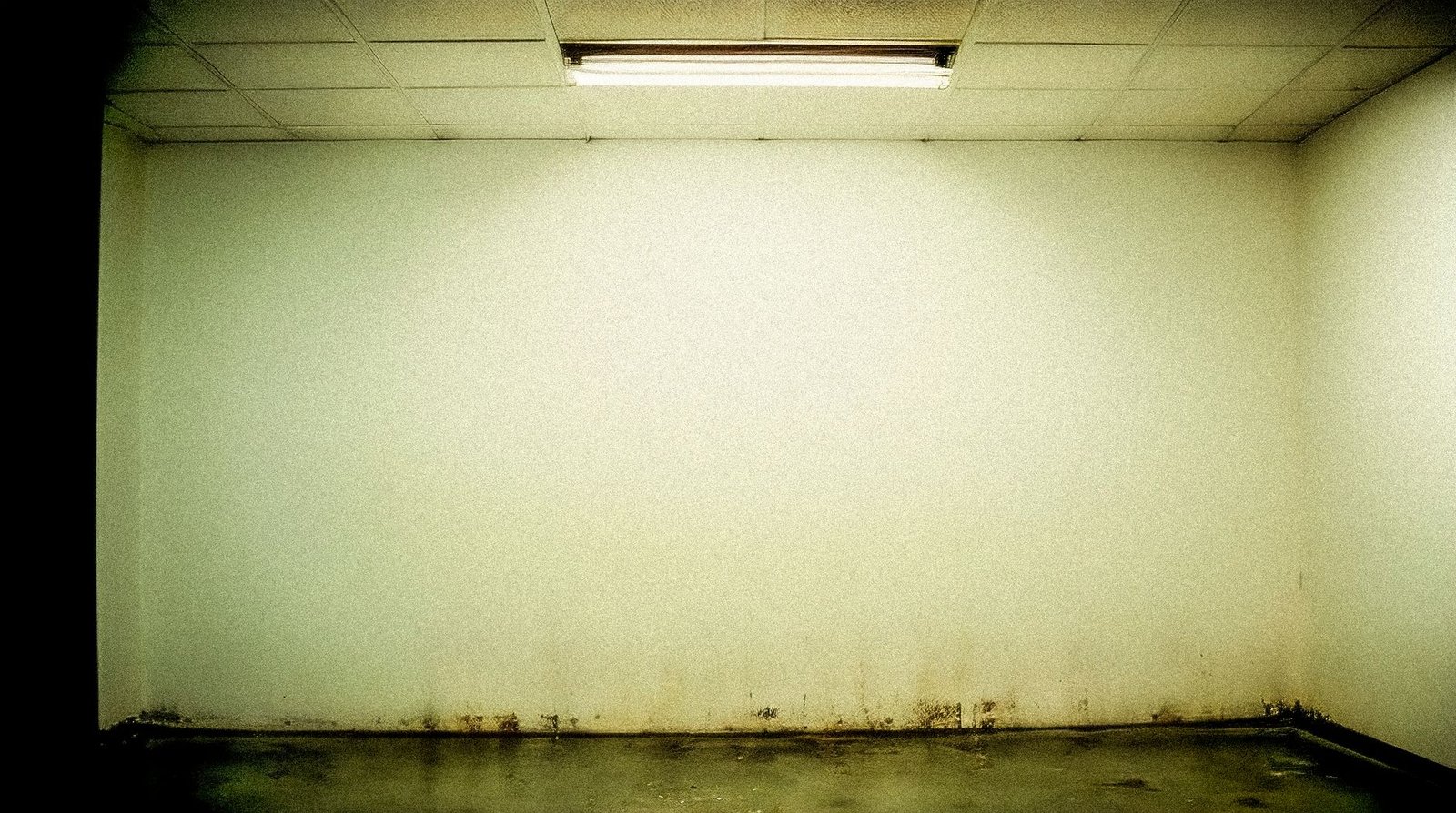 Dark mould staining along the base of a wall in a damp room with a wet floor, a common source of musty smell