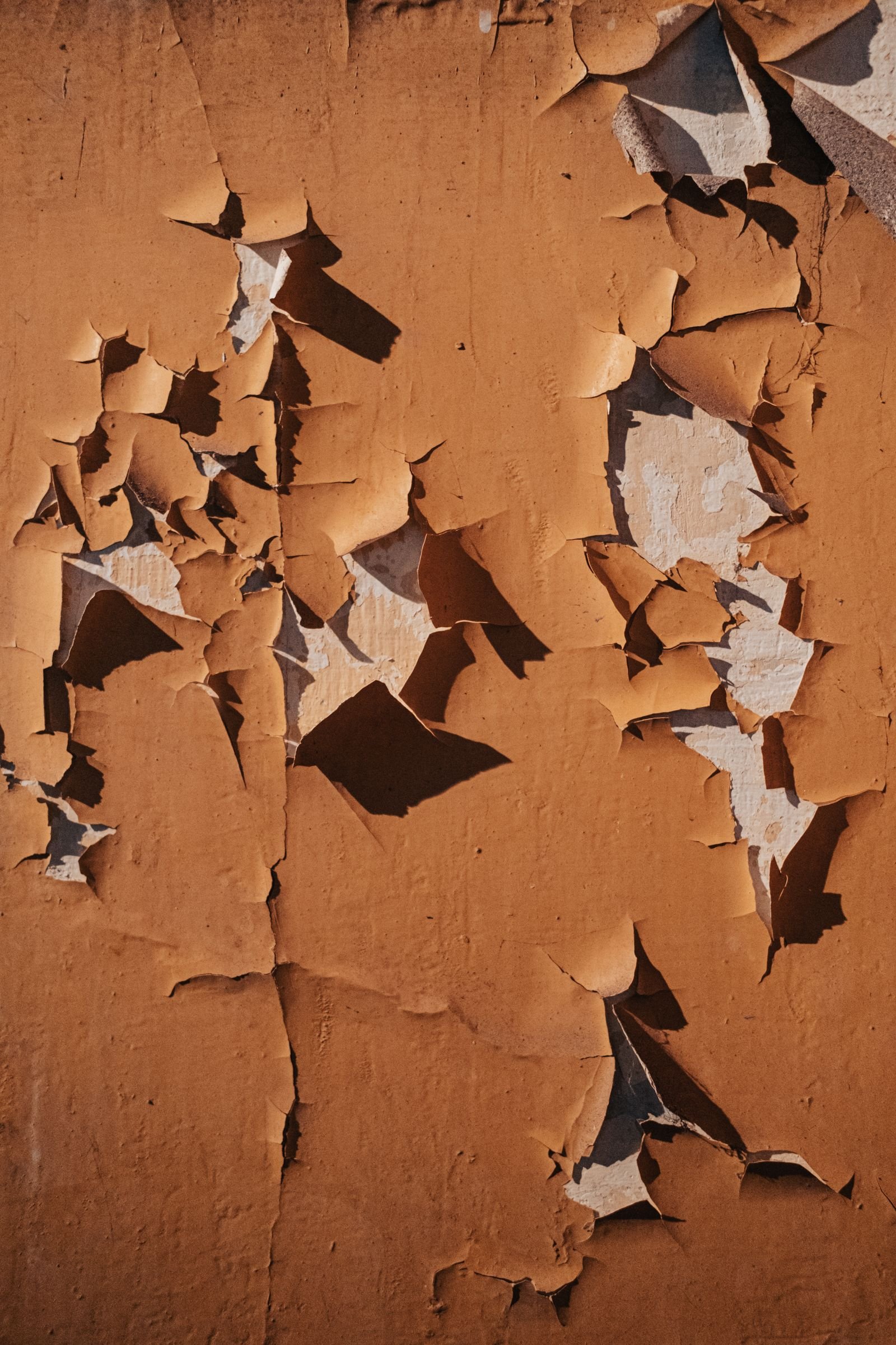 Orange wall paint lifting and flaking away from the plaster underneath