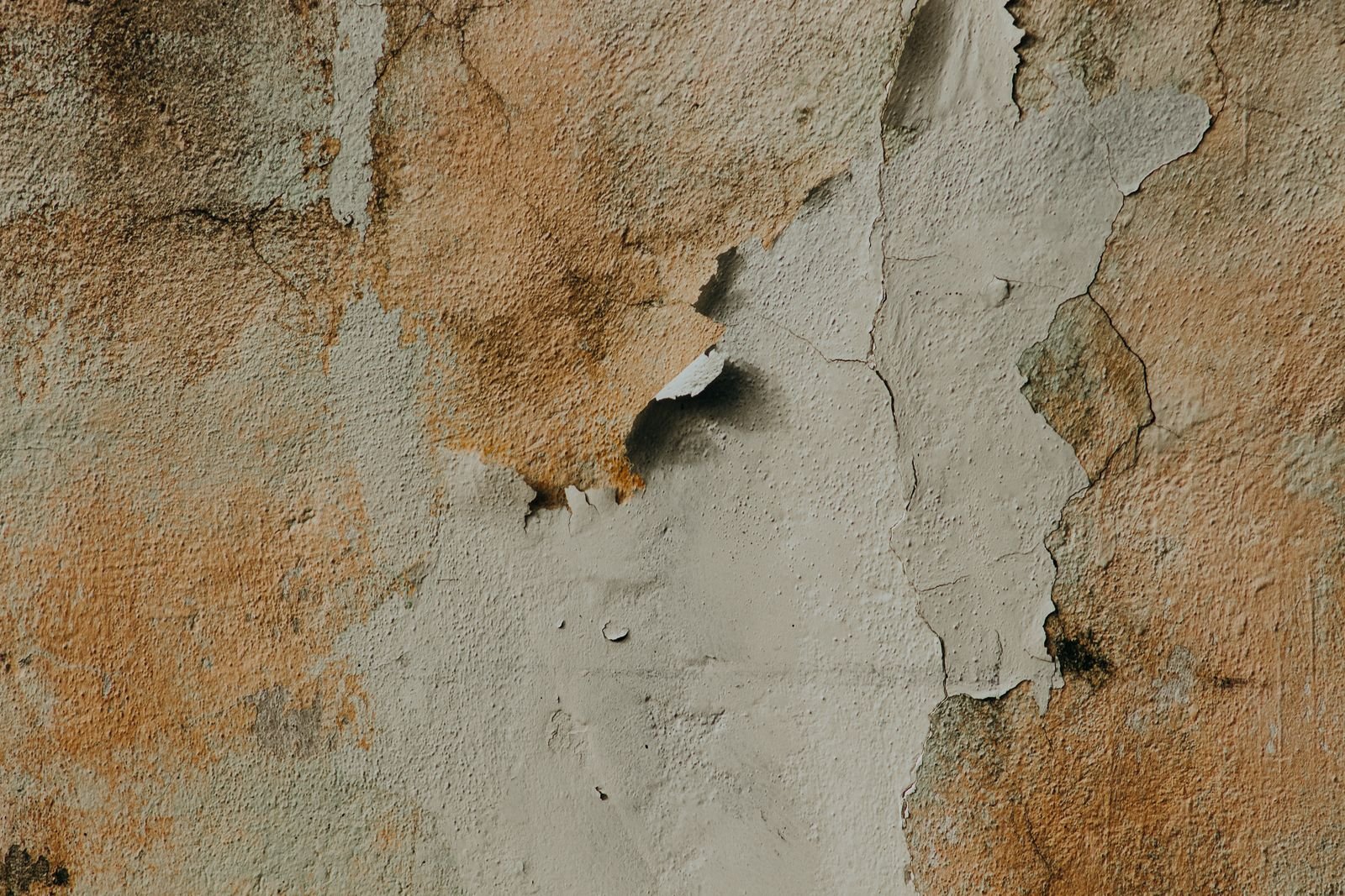 Interior wall with peeling paint and stained, flaking plaster, a damaged damp-looking wall surface