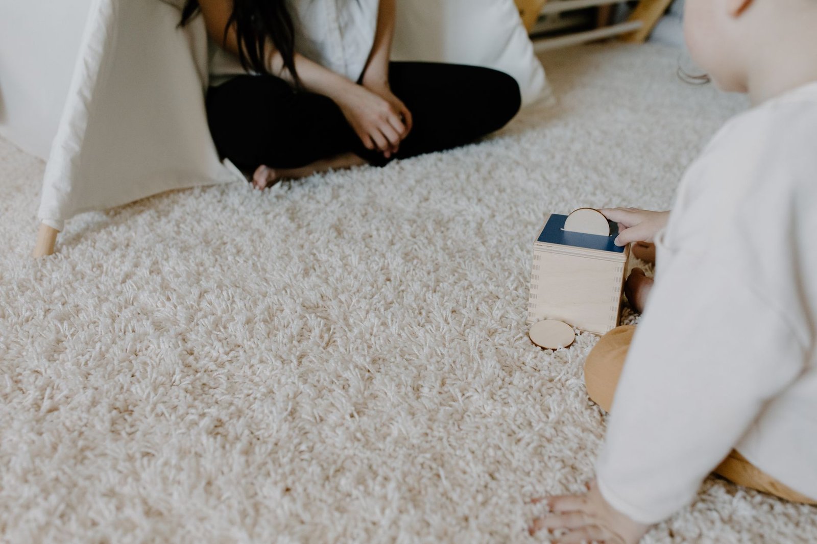 Thick shag-pile carpet in a family room, the kind of soft surface a dehumidifier can rock or sink into