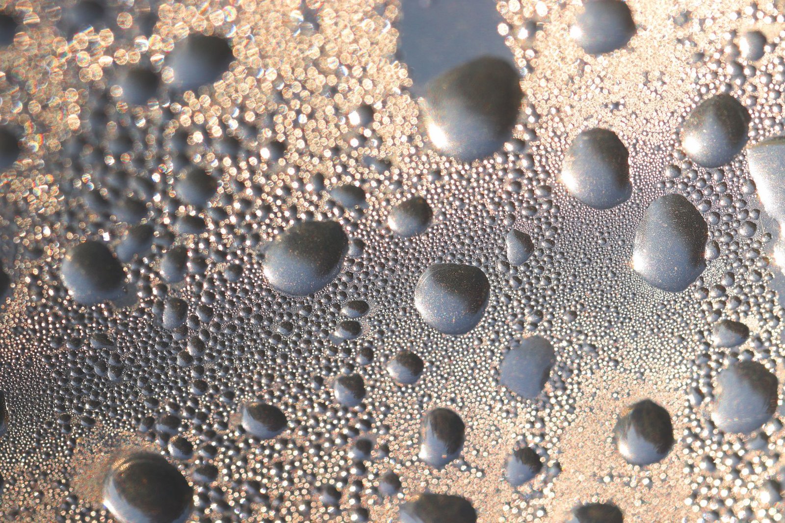 Macro of dew droplets on glass lit from behind by low sun, just before they evaporate