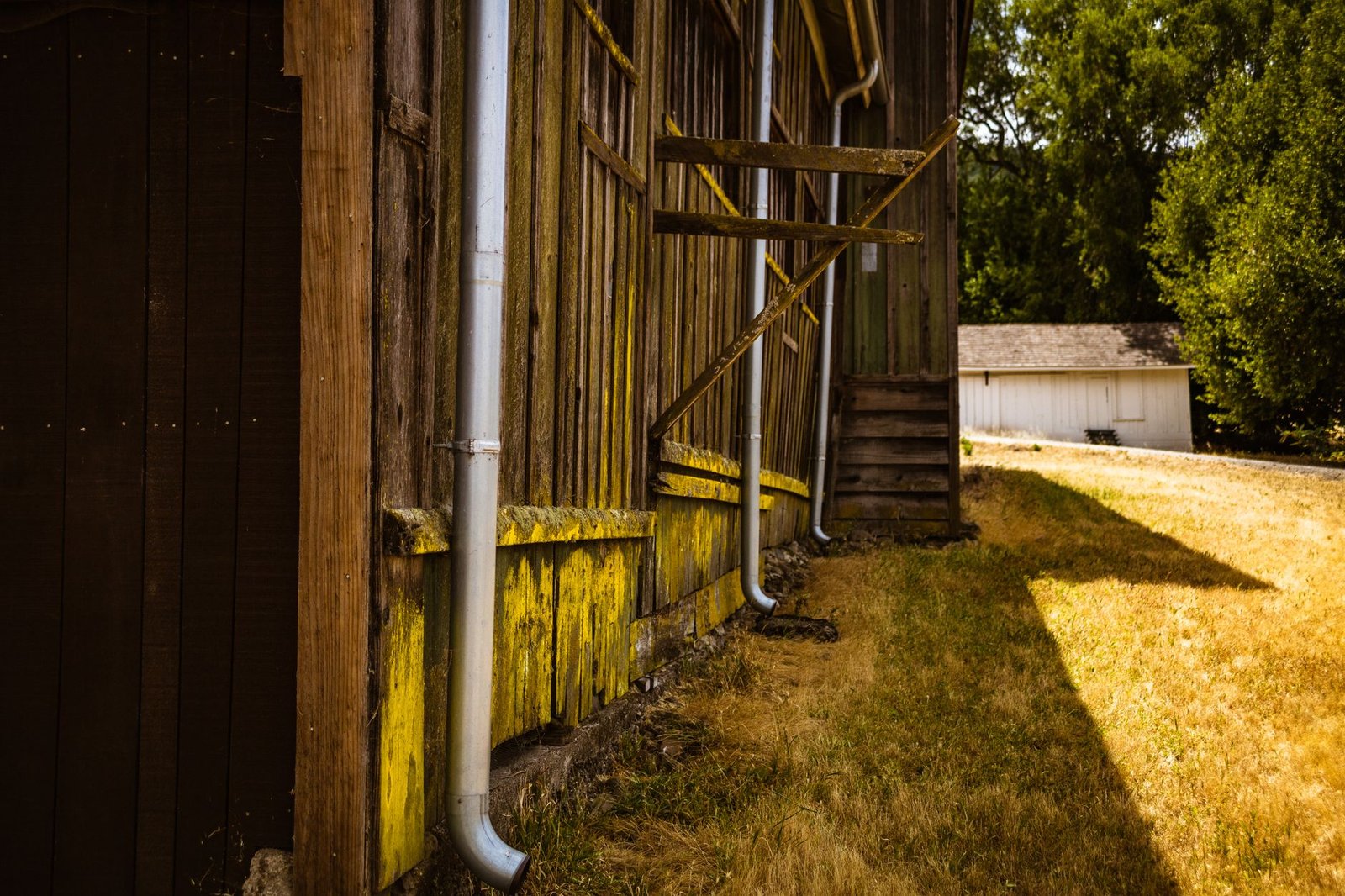 Metal downspouts running down a timber wall and stopping at ground level beside the base of the wall