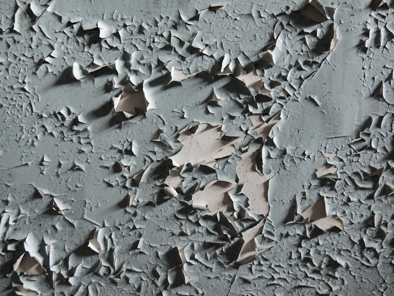 Grey paint cracking and peeling off an aged wall, a slow sign of long-term moisture