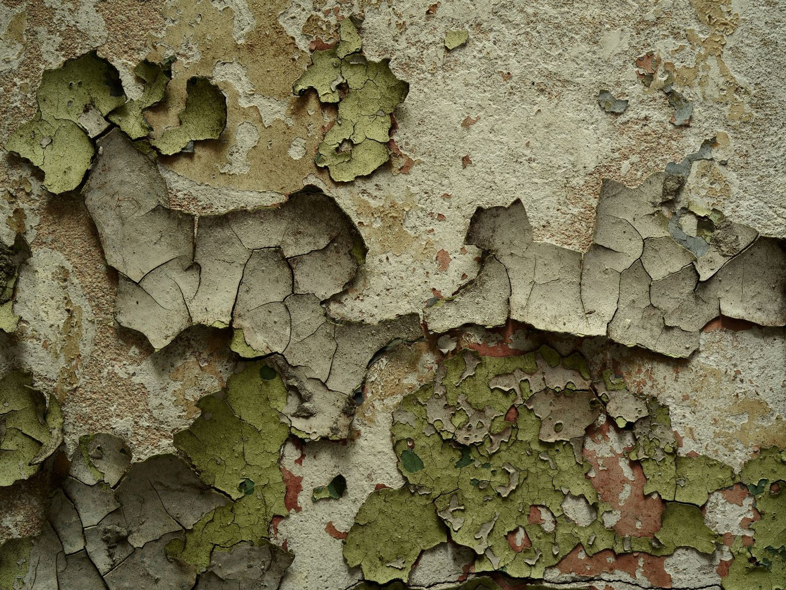 Cracked, peeling paint on an old plaster wall, the kind of surface a damp meter gets pointed at