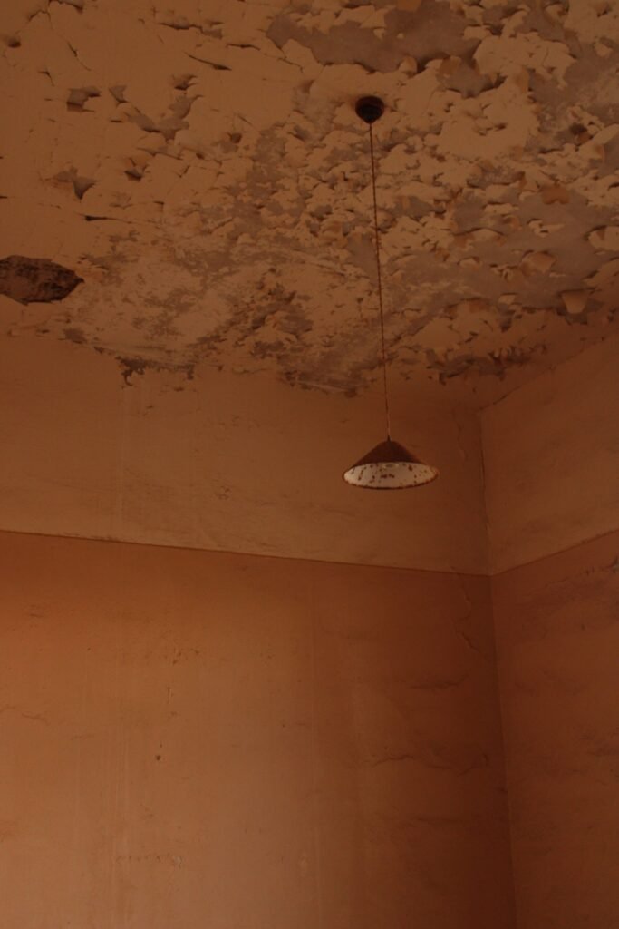 Ceiling with peeling, stained paint and a pendant lamp in an unheated room, a typical damp patch on a ceiling