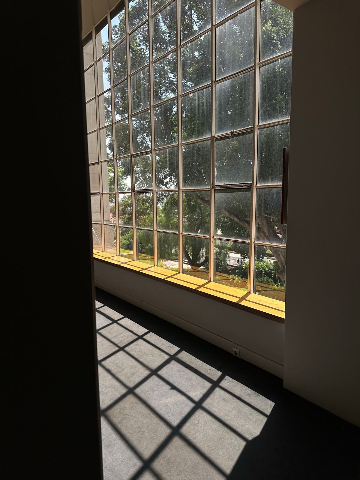 Sunlight coming through a large grid window and casting shadows across the floor of an indoor room