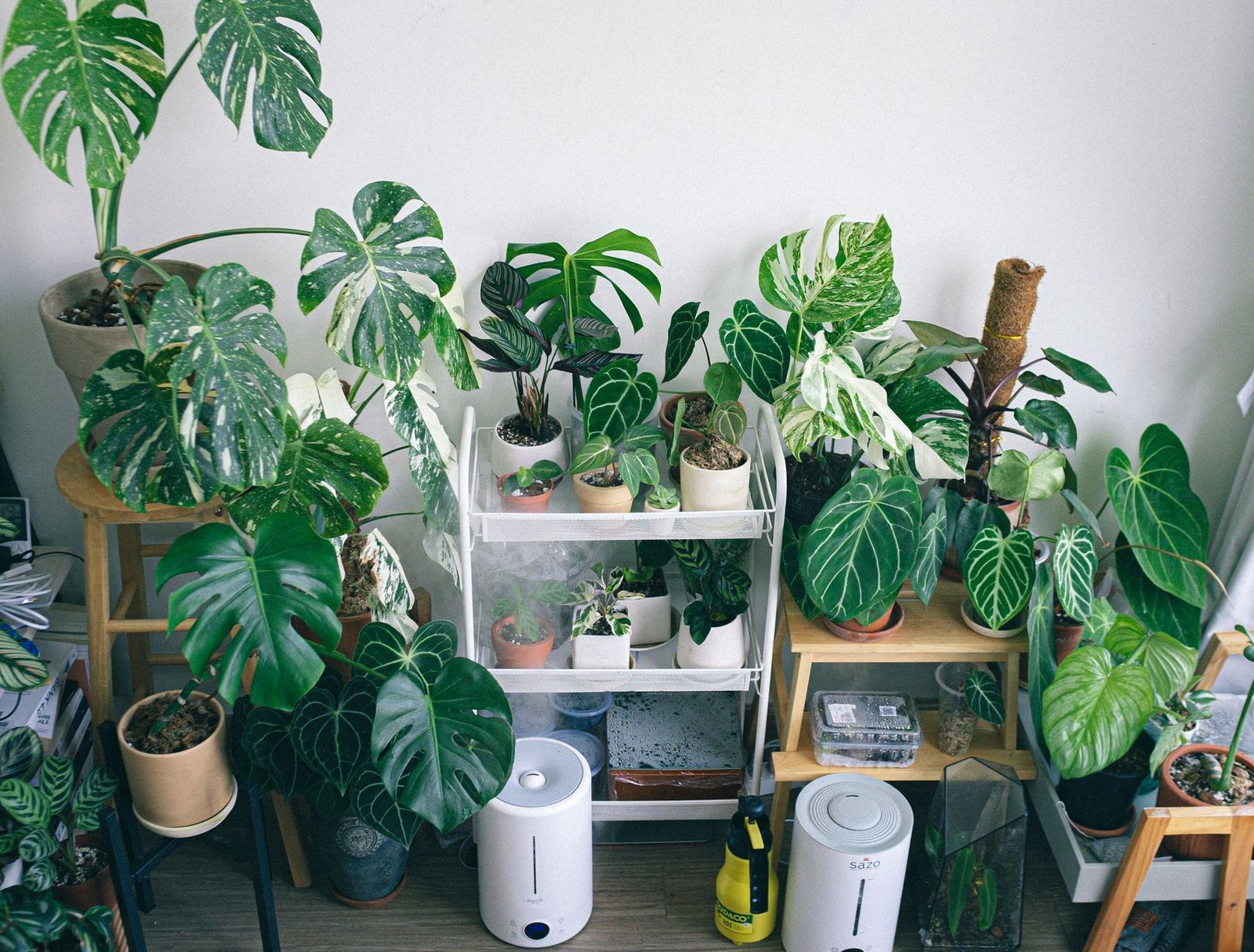 Two white humidifiers standing on the floor beside shelves of houseplants