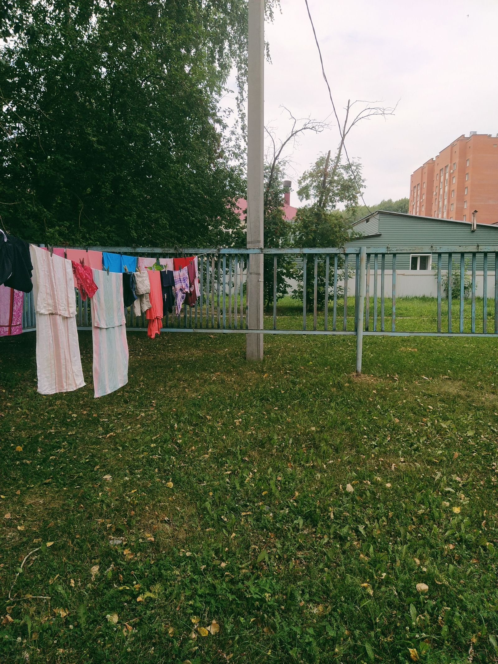 Clothes hanging on a washing line in a grassy garden under a cloudy sky