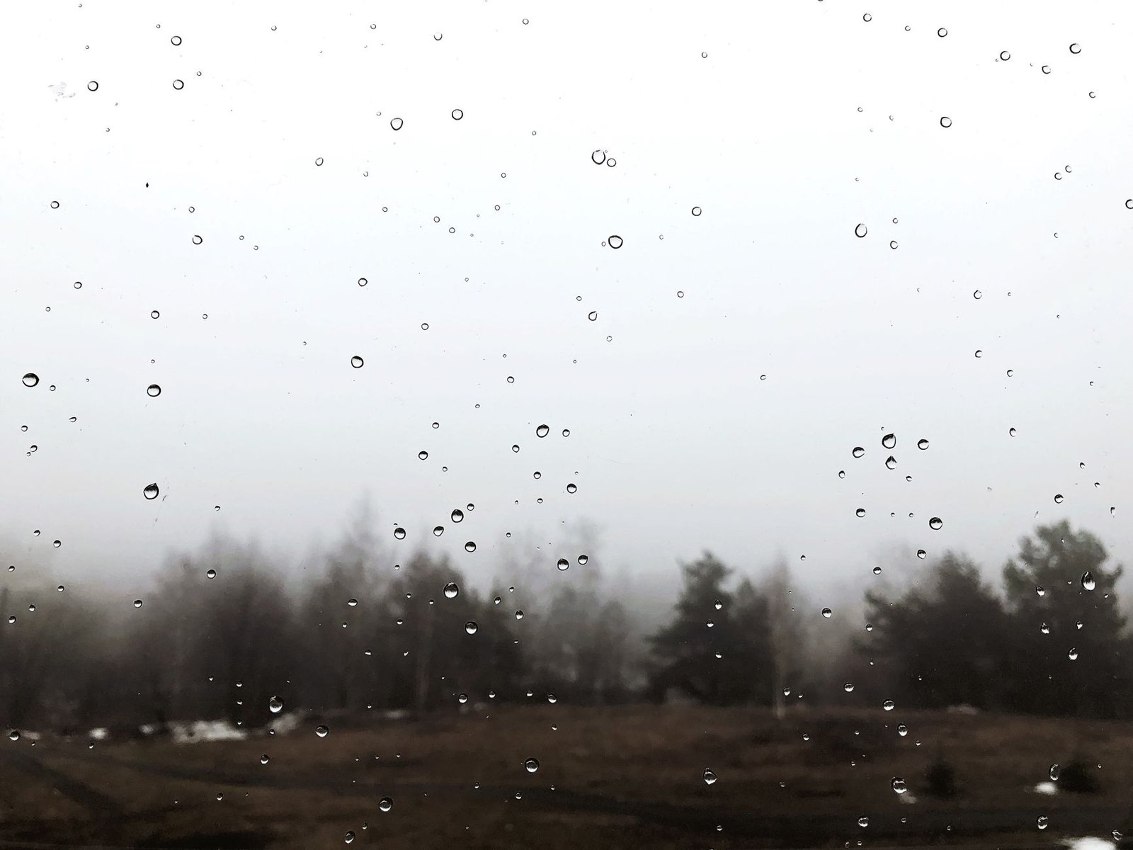 Water droplets on a window pane looking out over a misty winter field and bare trees