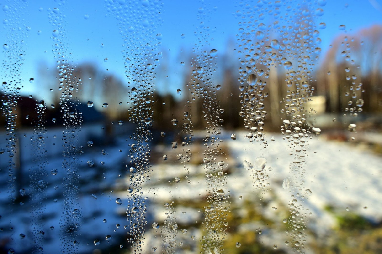 Rows of condensation droplets on a window pane with a snowy garden and blue sky behind